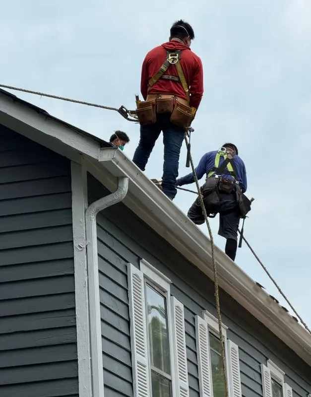 Two Roof Manager roofers harnessed and working on a steep roof pitch